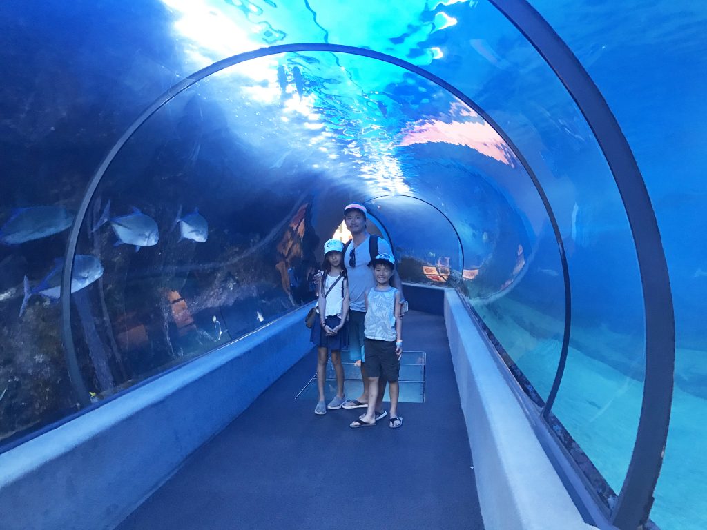 Open Ocean tunnel Maui Ocean Center