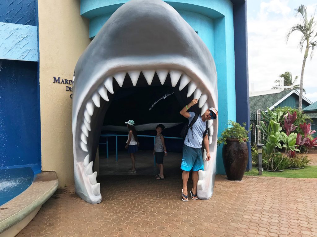 Maui Ocean Center Shark
