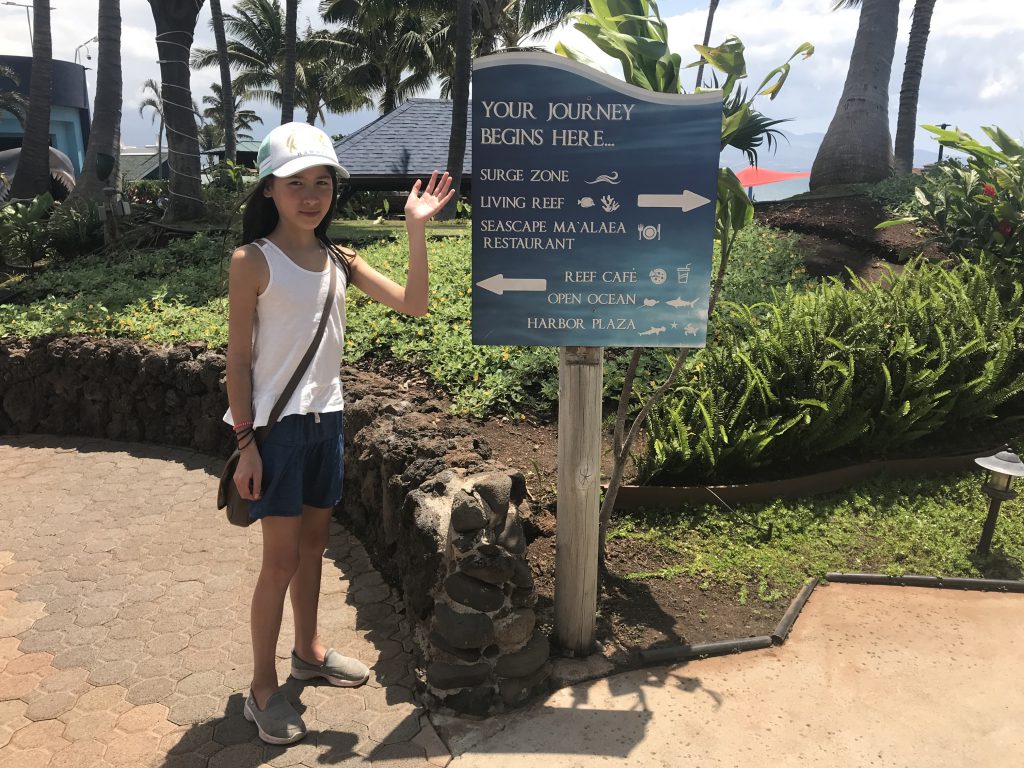 Maui Ocean Center outdoor directions