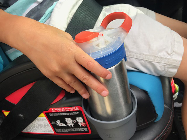 Britax Skyline booster review